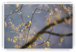 couleurs et harmonie