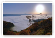 brouillard au Drumont