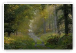 premiere lueur d automne