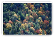 palette