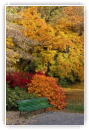 couleurs d'automne