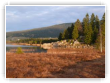 Lac des Rousses