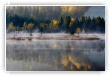 brume sur le lac