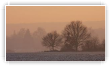 Deux voisins