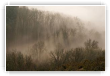 Filtre de brume
