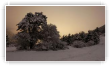 Nocturne en Vercors