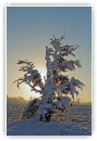 Frimas petit matin