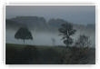 Brume du Lot