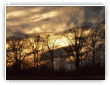 contre jour