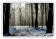 matin d'hiver