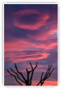 Vers le ciel
