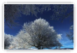 Hiver