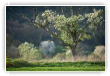 Résurrection