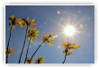Toujours_plus_Haut