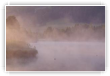 Entre grèbe et foulque