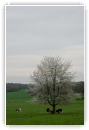 réveil