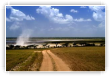 Mini tornade dans la savane