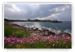bord de mer