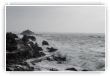 Vent de mer