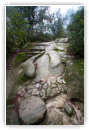 Chemin humide