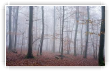 brume