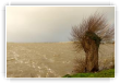 Tempête sur le marais