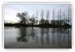 Sauer Munchhausen2