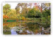 Couleurs d'automne