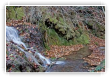 ruisseau en automne