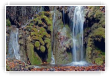 esprit moussu de la cascade