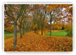 chemin_d_automne