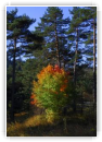 couleurs
