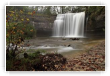 Cascades du hérisson