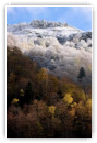 Tournant de saison