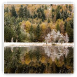 transition