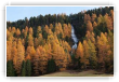 cascade alpes