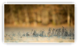 Dans la glace