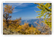 Bleu Automne