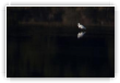 Solitude
