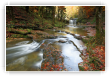 Couleurs d'automne