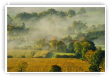 Brumes d'automne