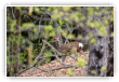 rencontre inattendue