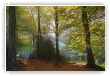Un matin