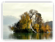 Tel un vaisseau