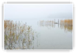 Solitude d'automne 1