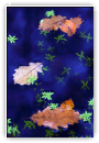 Novembre et les fées