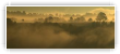Echarpe de brume