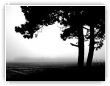 Graphic fog
