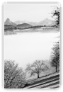 tapis de brume