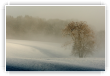 Cime au dessus de la brume